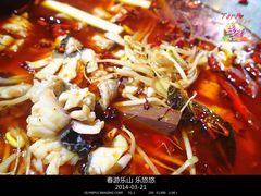 -重庆乌鱼庄·龙滋鲜(青羊大道店)