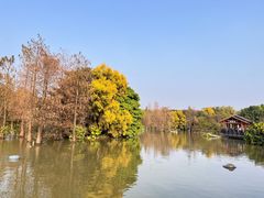 -海珠湖公园
