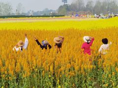 -中国天府农业博览园