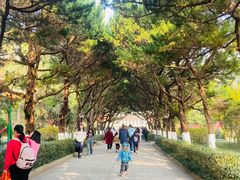 -南岳衡山风景名胜区-南岳大庙