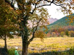 -塔川景区