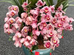 -F.Story 花和故事(新天地店)