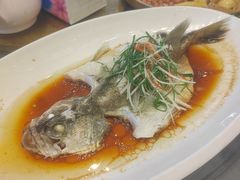 -东方御宴海鲜酒楼(棕泉酒店)