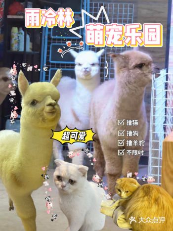 隐藏小店 撸猫撸狗撸羊驼 爱好者看过来咯……