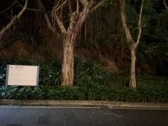 -月色西餐厅·海鲜刺身·烧烤(科学城保利郡雅酒店)