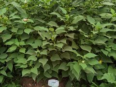-北京植物园南门售票处