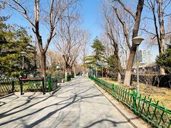 -顺城公园