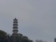-江心屿景区