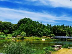 -贡湖湾湿地公园