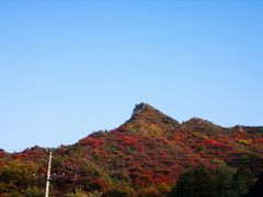 -南窖乡水峪村山情农家