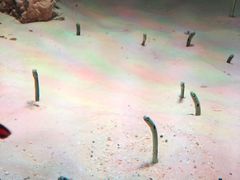 -暹罗海洋世界