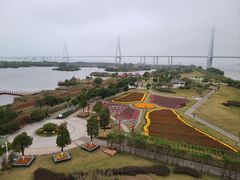 -芒洲湿地公园