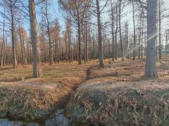 -广富林郊野公园