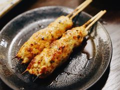 鸡肉丸子-串鑫