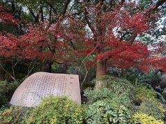 -杭州半山国家森林公园