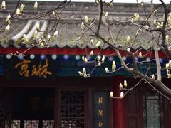 -万寿八仙宫