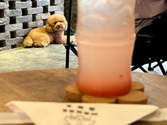 -漫笙舍Manse·咖啡·民宿