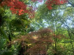 -川沙古镇-停车场