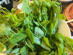 -老码头火锅(玉林店)