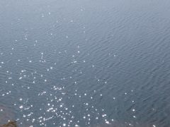-闻泰花园酒店
