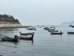 -海源公园