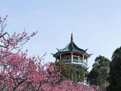 -无锡梅园公园