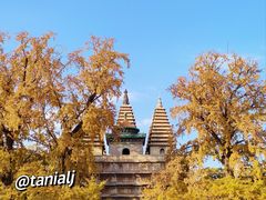 -北京石刻艺术博物馆(五塔寺)