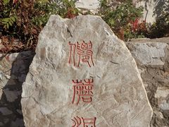 -仙蘑洞