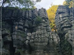 -梭布垭石林景区