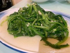 蒜蓉油麦菜-粗茶淡饭•陕菜•家常菜