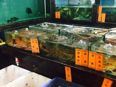 -新金盛·海鲜酒楼(盐田店)