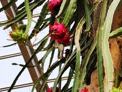 -南通洲际绿博园