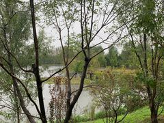 -东郊湿地公园