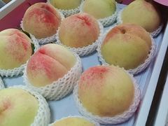 -南汇新场正宗水蜜桃采摘