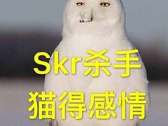 -SFC上影影城(港汇永华IMAX激光店)