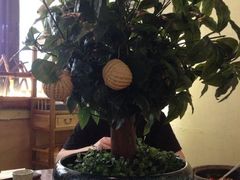 iphone_upload_pic-云来居素食馆(南山店)