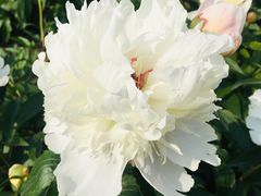 -桤木河湿地公园