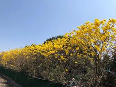 -广州市白云山风景名胜区