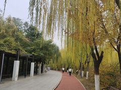 -南翠屏公园
