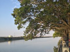 -大湾区中央湿地公园