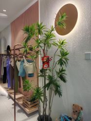 -水沐莲清瑜伽·普拉提