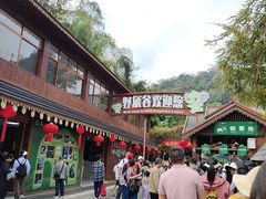 -野象谷景区