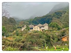-雁南飞茶田景区