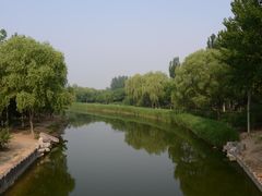 -大兴滨河森林公园