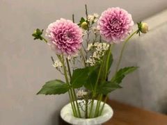 -诗情花意花店