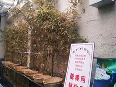 -农轩·醉黄冈
