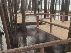 -东湖落雁景区