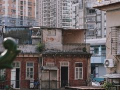 -溪岸路花鸟市场