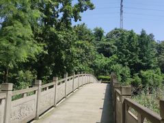 -重庆彩云湖湿地公园