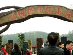 -绵阳盛世樱花悠乐谷